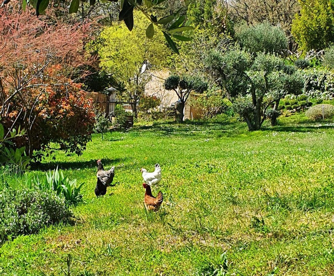 Monteze Paradis Saint-Christol-lès-Alès エクステリア 写真